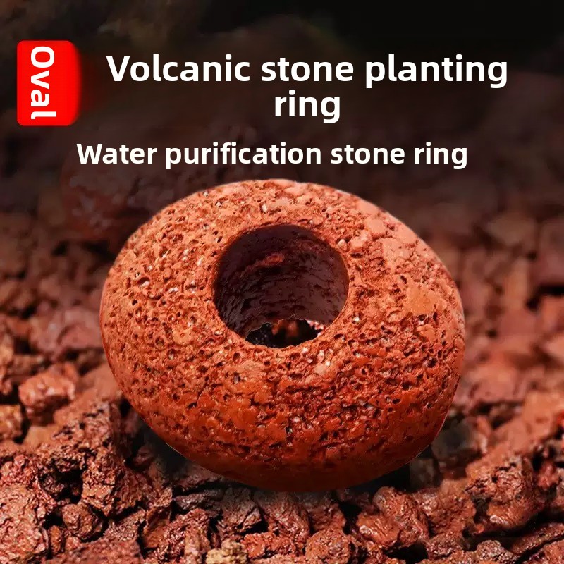 Planted Aquarium Care - Aquarium vulkanisch gesteente viskom plantenring aquatische