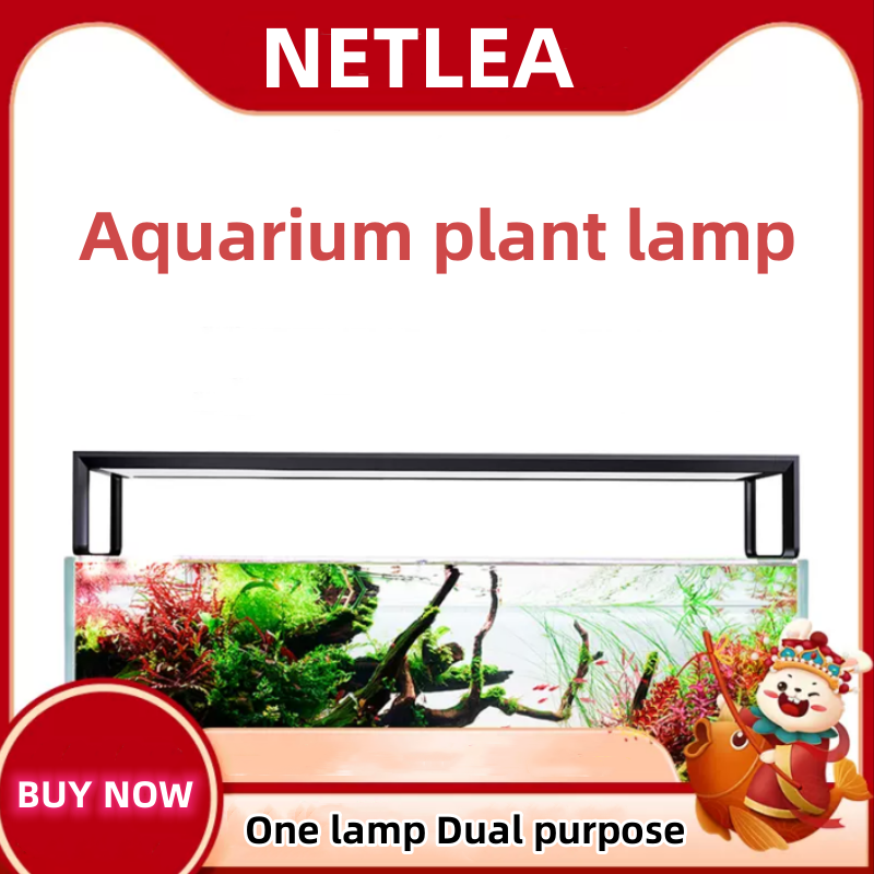 Aquarium Plant Delivery - NETLEA 540 S/590 S Aquarium Volledige