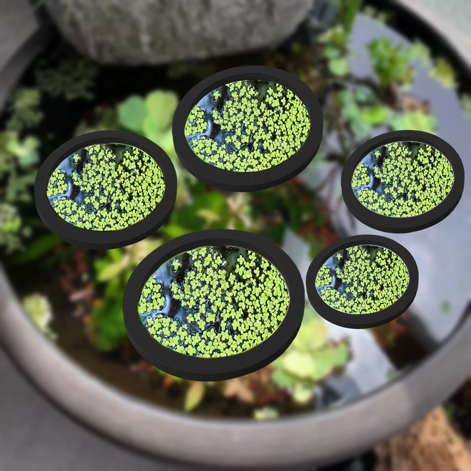 Aquarium Plant Delivery - 5 stks EVA Vis Voeden Ring