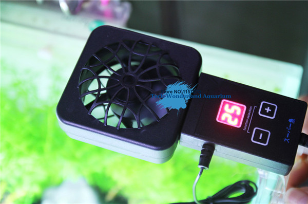 Aquarium Plant Delivery - Mini nano clip hangen op koelventilator