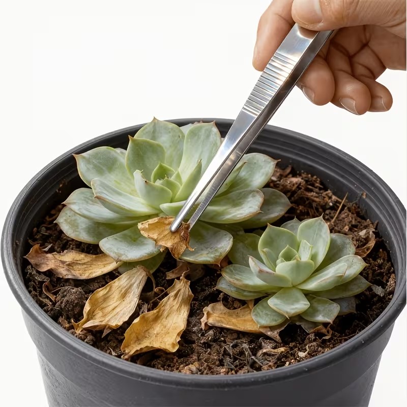Planted Aquarium Care - 2-delige set van roestvrijstalen pincetten van