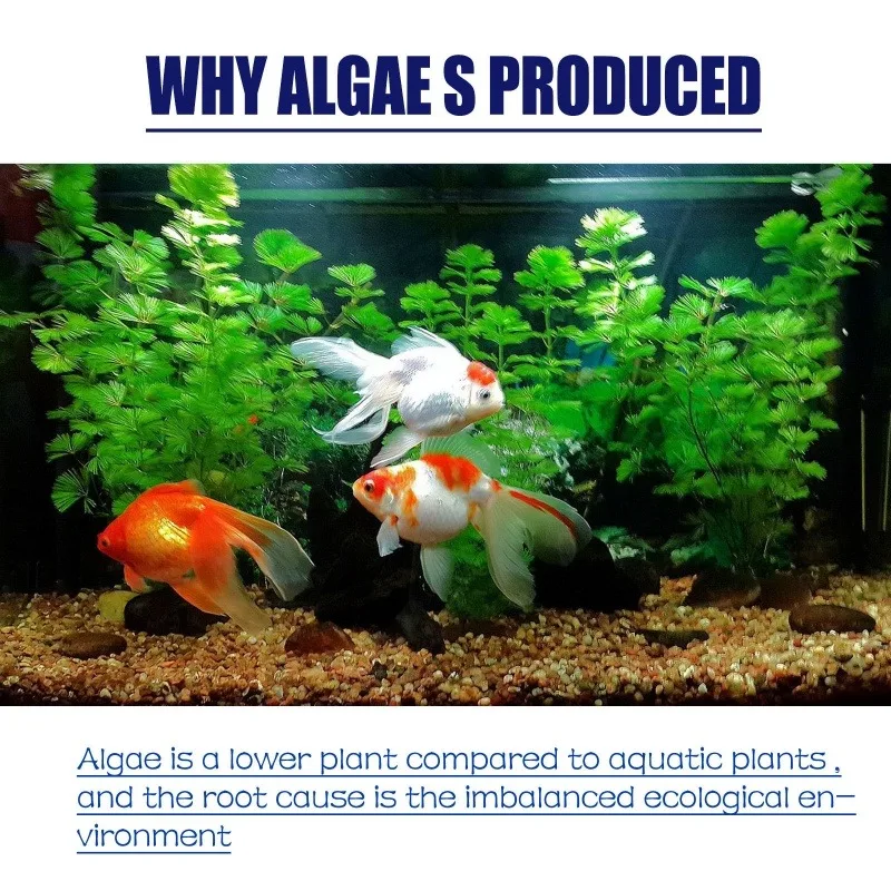 50g Hoogwaardig algemiddel teg - Aquarium Plant Delivery recensie en prijs