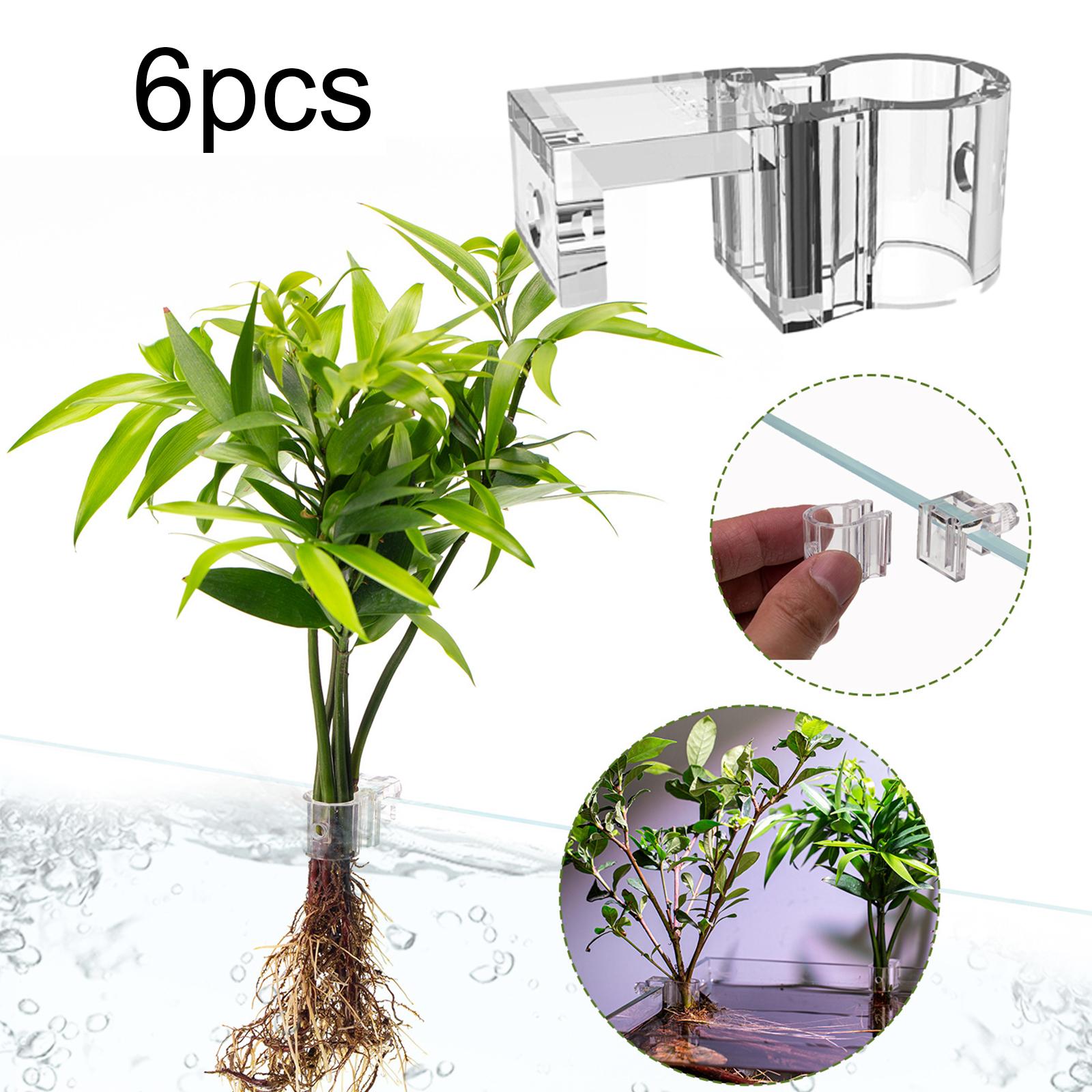 Transparante aquariumplantenho - Aquarium Planted Set Up recensie en prijs