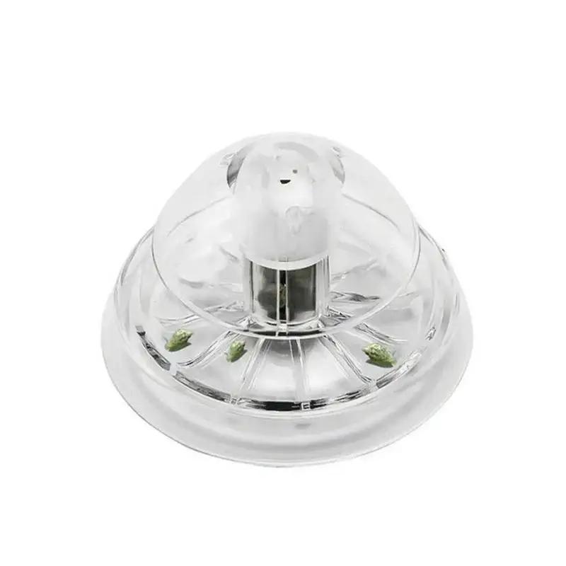 2026 Nieuwe 6/8CM Transparante - Aquarium Plant Delivery recensie en prijs