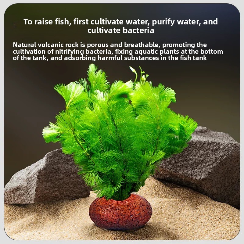 Aquarium vulkanisch gesteente  - Planted Aquarium Care recensie en prijs