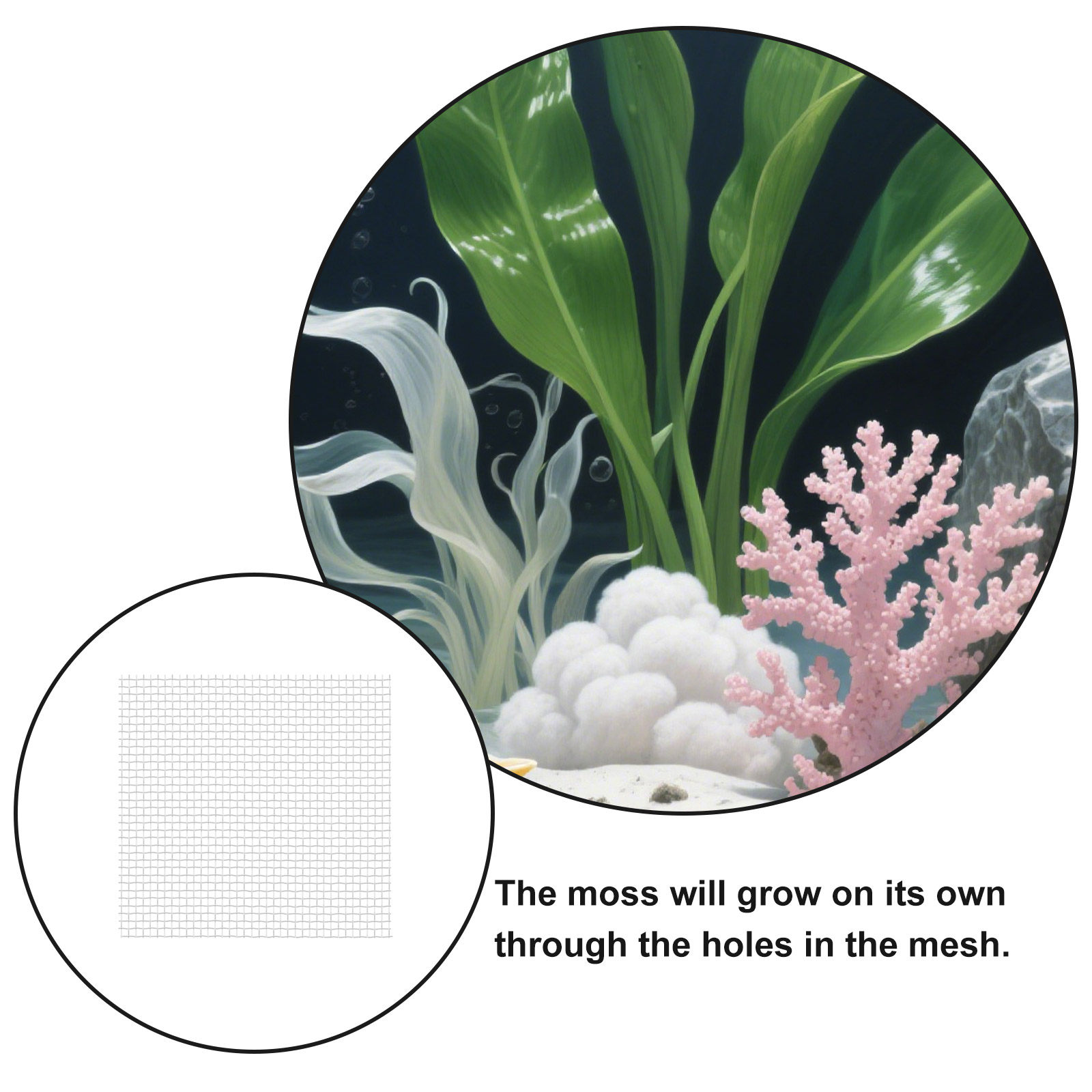 12 stuks roestvrijstalen gaasm - Aquarium Planted Set Up recensie en prijs