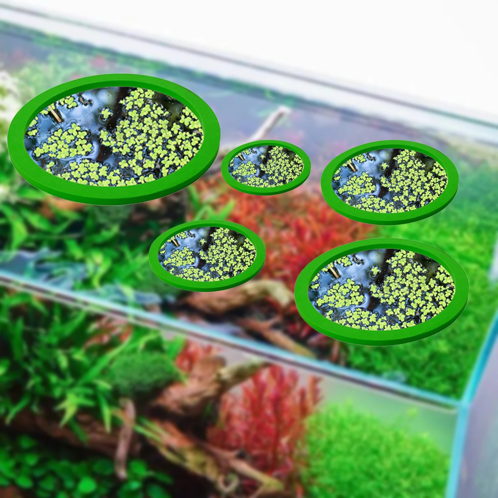 5 stks EVA Vis Voeden Ring Aqu - Aquarium Plant Delivery recensie en prijs