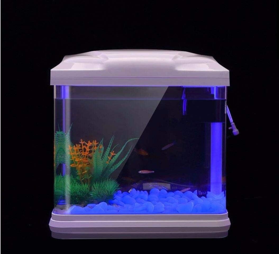 Aquarium Rotsen Glow Blue Kiez - Aquarium Plant Delivery recensie en prijs