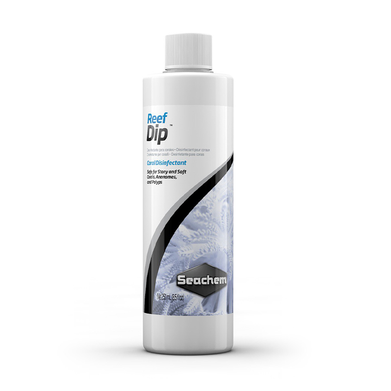 Koraalbescherming, platwormver - Planted Aquarium Care recensie en prijs