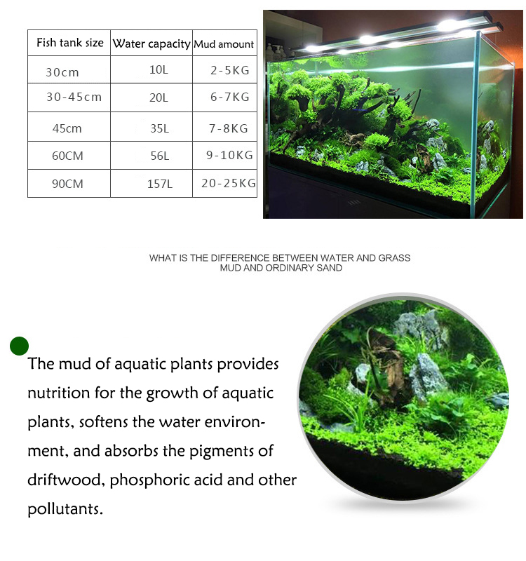 Aquarium Plant Zaden Bodem Fis - Planted Aquarium Care recensie en prijs